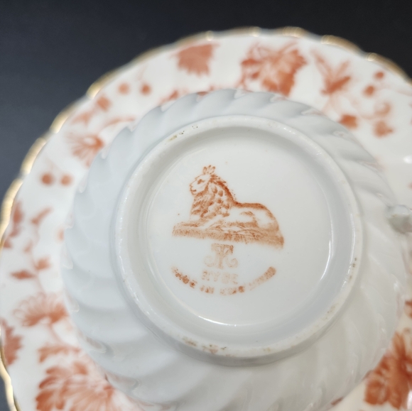 Spode Ryde T-Cup and Saucer - Picture 6 of 13